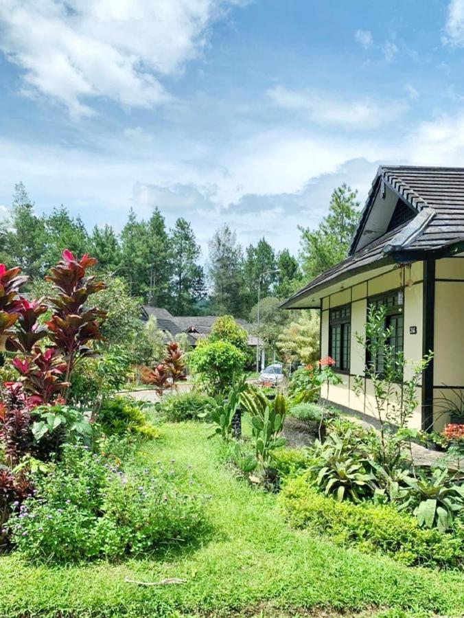 Designer Villa Osaka Puncak Εξωτερικό φωτογραφία