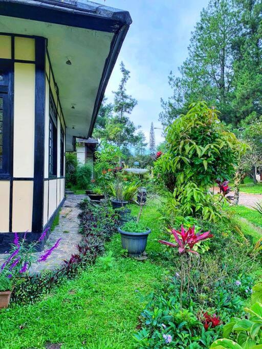 Designer Villa Osaka Puncak Εξωτερικό φωτογραφία