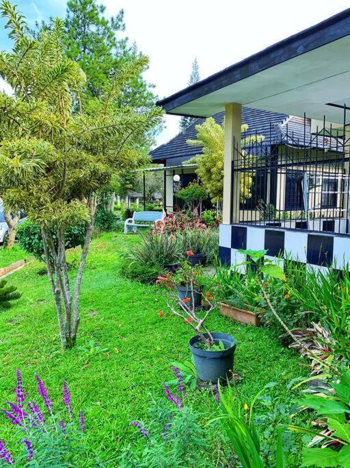 Designer Villa Osaka Puncak Εξωτερικό φωτογραφία